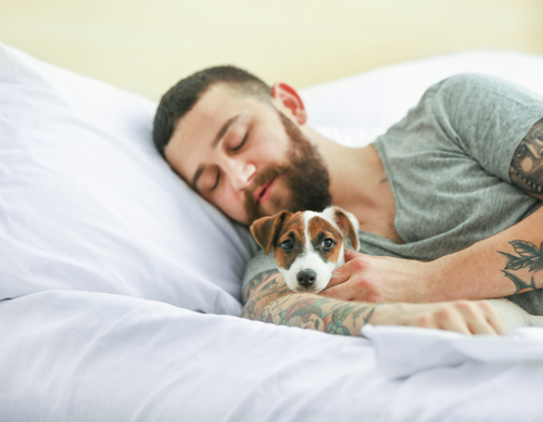 Pomocí čeho dosáhneme, že bude čalounění vypadat jako nové